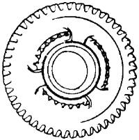 Click For Full Size Image